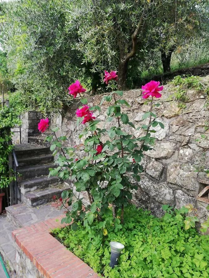 Vacanza Nel Verde Hotel Prato  0*, Prato (Prato) Italien
