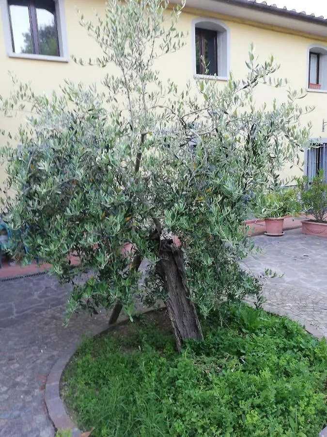 Hotel vacanza nel verde Prato  Italia